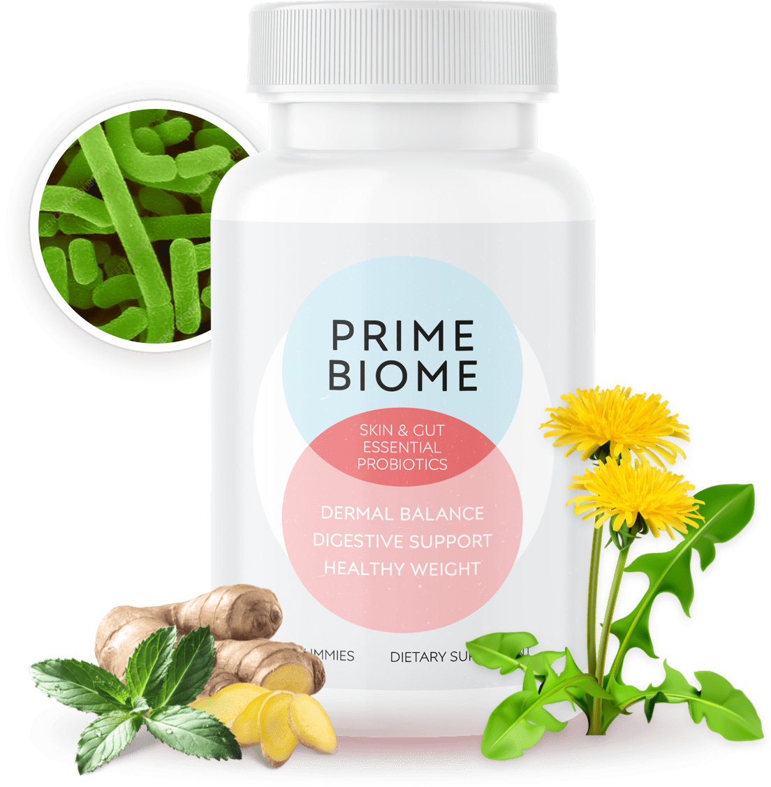 Probiotic Wellness Gummies